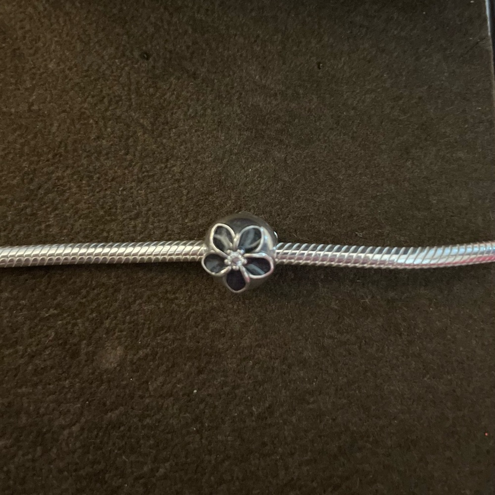 Pandora clip